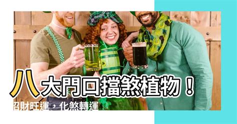 門口擋煞 盆栽|大門口植物擺放攻略：化煞擋煞，打造旺宅風水 